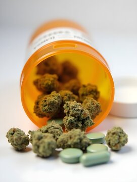 Medical marijuana buds and pills spilling from prescription bottle