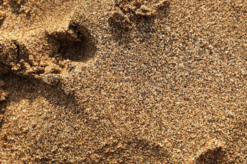 Texture of sandy beach as background, top view