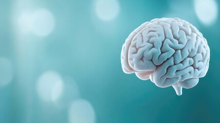 3D model of a human brain against a teal-toned blurred background. A light, almost pastel, white color brain floats in the space