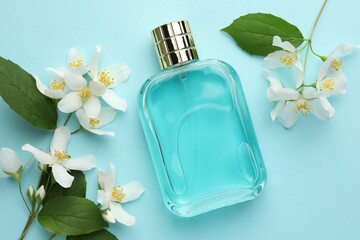 Bottle of perfume, beautiful jasmine flowers and green leaves on light blue background, flat lay