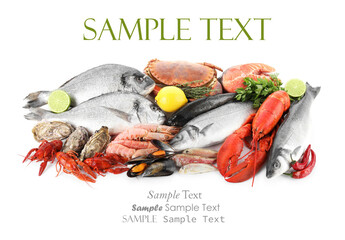 Different sea food on white background. Design with space for text
