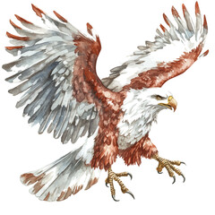 Griffin, watercolor vector, isolated on a white background.