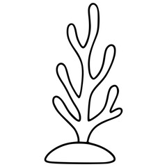 Obraz premium Coral Reefs