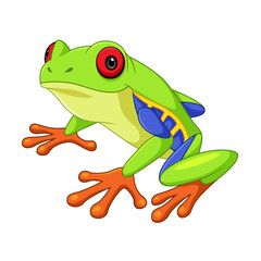 Cartoon green tree frog on white background