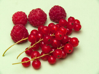 Summer freshness: raspberries and red currants on light background.