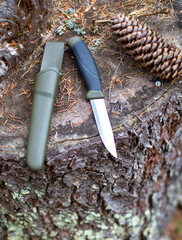 a fix knife with a sheath in the forest, on a stump