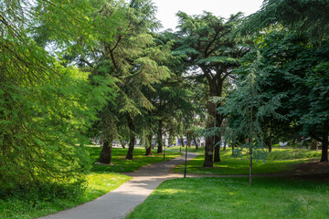 Horseshoe Common, Bournemouth, UK - June 4th 2025: Footpath through the trees.