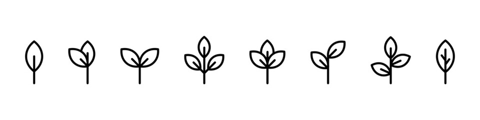 Plant growth icon. Leaf grow vector set. Gardening sign. Plant grow isolated icons. Leaf growth line icon set.