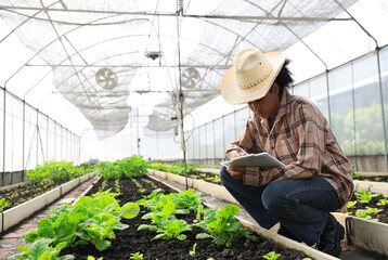 Young female Agriculturist working in smart farm by check sheet and digital tablet, greenhouse organic farm