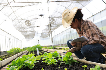 Young female Agriculturist working in smart farm by check sheet and digital tablet, greenhouse organic farm