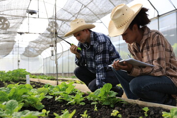 Two young farmers are working research vegetable project inside a greenhouse with digital tablet and walkie-talkie , green vegetables farm, smart farm 