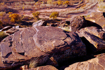St. George Petroglyphs, Serpeants and Landscape, Utah 2014