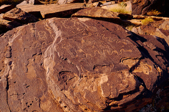 St. George Petroglyphs, Serpeants, Utah 2014