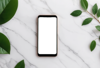 Flat lay of a mobile phone with a blank transparent screen placed on a marble surface alongside green leaves in a bright setting. png