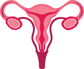 Female reproduction system anatomy silhouette design vector illustration