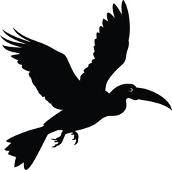 flying hornbill bird silhouette