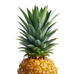 Fototapeta premium Pineapple fruit fresh tropical pineapple with water droplets close up view on transparent background