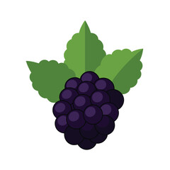 Isolated Blackberry Berry Illustration