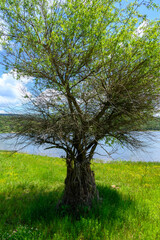 Scenery of Bor Lake (Borsko jezero), an artificial lake in Eastern Serbia near the city of Bor