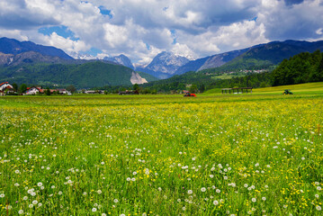 Obraz premium Tractor on a lawn in front of the Julian Alps, Kamnic, Slovenia, Europe 