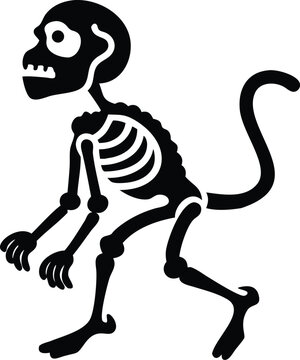 skeleton of monkey animal silhouette