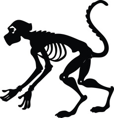 skeleton of monkey animal silhouette