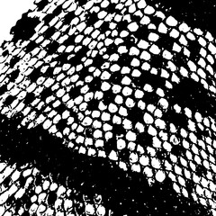 Snake skin monochrome background. Not AI, Vector illustration