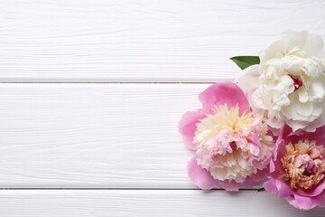 Beautiful peonies on white wooden table, flat lay. Space for text