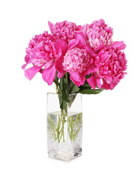 Bouquet of beautiful peonies in vase isolated on white