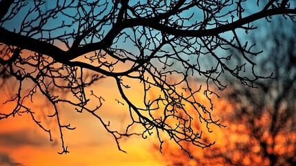 Bare tree branches against a vibrant sunset.