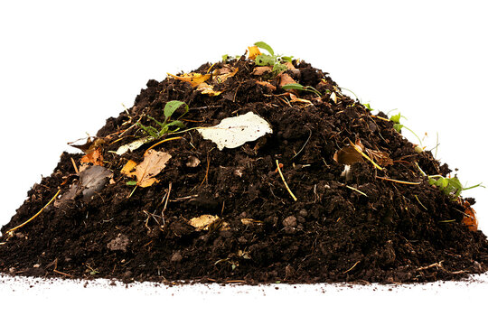 Pile of dark brown compost with decaying leaves and plant matter isolated on white or transparent png