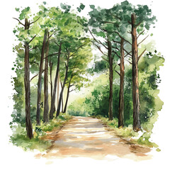 watercolor vector of Forest Trail Surrounded Trees, isolated on a white background. © AMIDCO