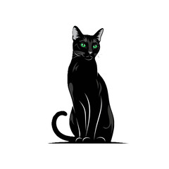 Obraz premium Elegant black cat sitting isolated on white background