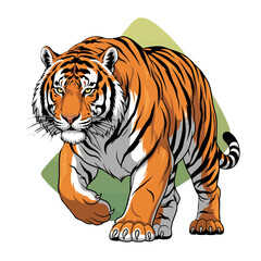 Obraz premium Powerful tiger illustration isolated on white background