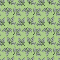 Elegant seamless pattern of stylized leaves on a muted green background.  Perfect for textile prints, wallpapers, or website design.  Evokes a sense of nature, freshness, and tranquility.
