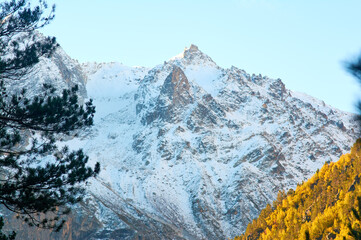 Stunning autumn scenery of famous alp peak Matterhorn capped by snow and yellowed larches on foreground. 