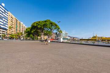 The seaside promenade near Plaza de Espana with the cruise port and harbor in view, in Santa Cruz de Tenerife, Spain, on the Canary island of Tenerife.
