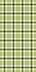 Colourful plaid texture textile, best check fabric pattern. Oilcloth vector tartan seamless background in light and lime colors.
