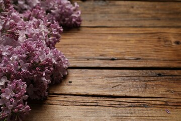 Beautiful lilac flowers on wooden table, closeup. Space for text