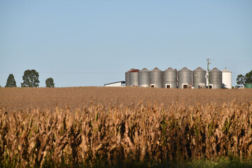 grain silos on a farm