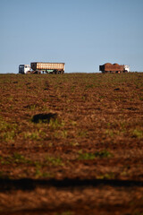 harvest time on the farm