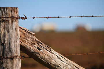 iconic farm fence