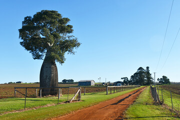 farm entrance in the South Burnett