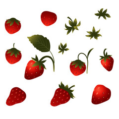 Set of strawberry berries. Vector illustration isolated on white background.