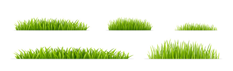 Green grass designs. Natural elements for landscape visuals