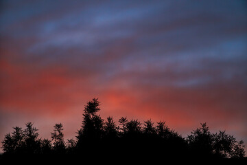 Fototapeta premium Sunset Silhouette 1