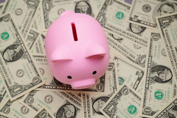 A pink piggy bank is placed in the center of a pile of dollar bills, representing savings and financial management. This setup highlights the importance of budgeting and saving.