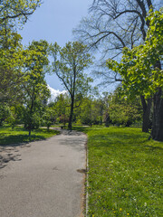Fototapeta premium Borisova gradina (Boris Garden) in city of Sofia, Bulgaria