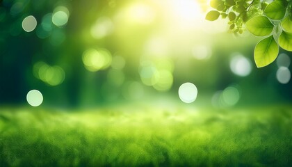 Obraz premium green bokeh nature background summer landscape blurred effect