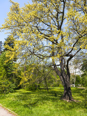Borisova gradina (Boris Garden) in city of Sofia, Bulgaria